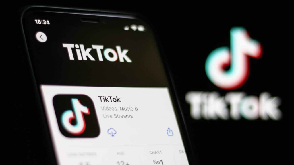 TikTok follower