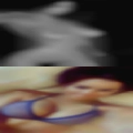 Some pussy form women Vernon